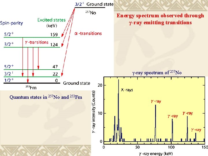 Energy spectrum observed through γ-ray emitting transitions γ-ray spectrum of 257 No Quantum states