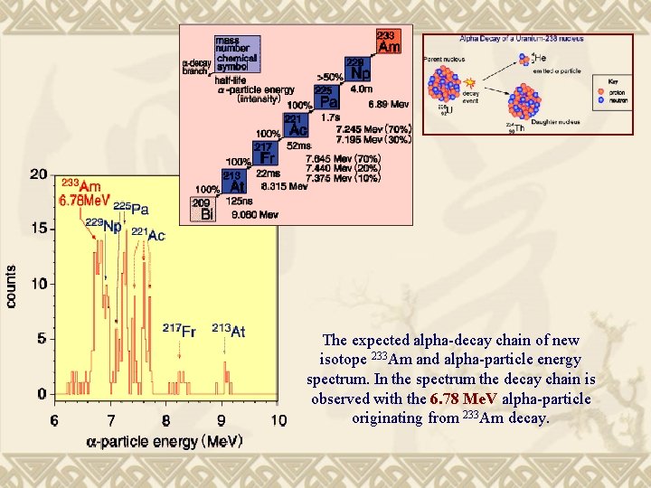 The expected alpha-decay chain of new isotope 233 Am and alpha-particle energy spectrum. In