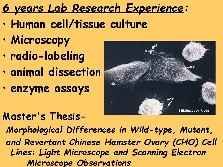 6 years Lab Research Experience: • Human cell/tissue culture • Microscopy • radio-labeling •