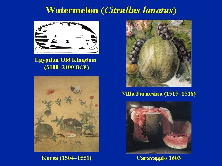 Watermelon (Citrullus lanatus) Egyptian Old Kingdom (3100– 2100 BCE) Villa Farnesina (1515– 1518) Korea
