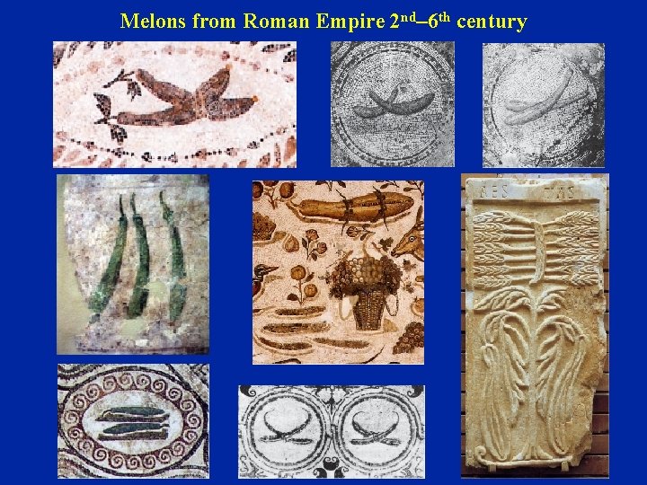 Melons from Roman Empire 2 nd– 6 th century 