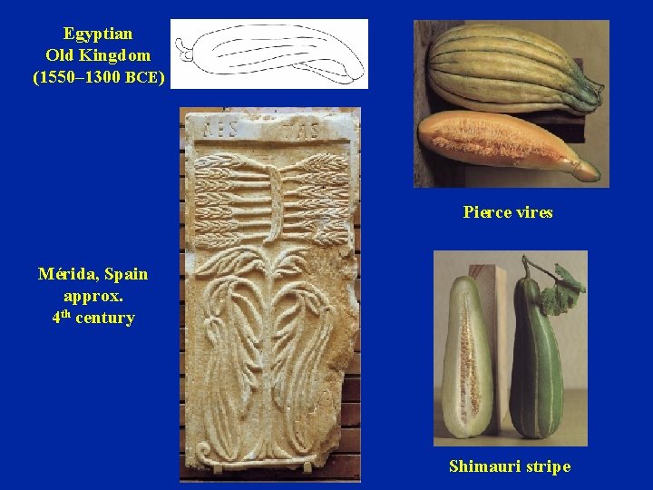 Egyptian Old Kingdom (1550– 1300 BCE) Pierce vires Mérida, Spain approx. 4 th century