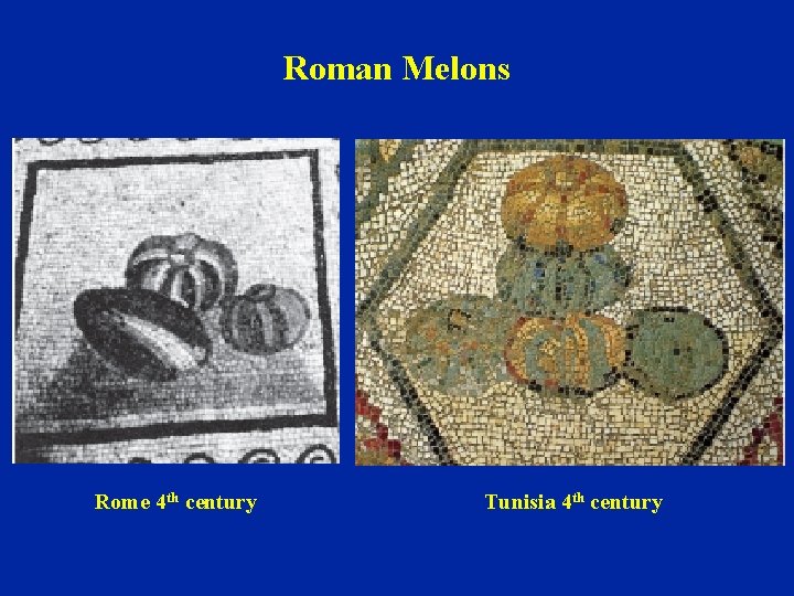 Roman Melons Rome 4 th century Tunisia 4 th century 