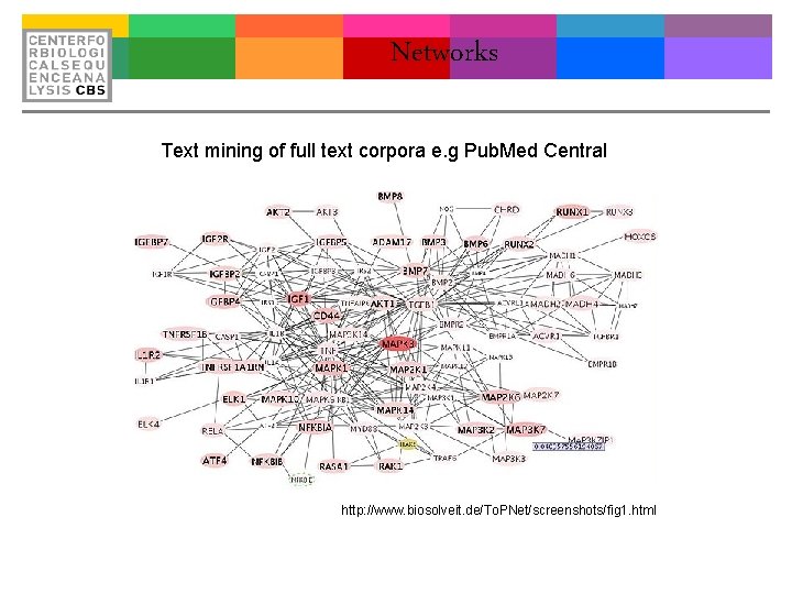 Networks Text mining of full text corpora e. g Pub. Med Central http: //www.
