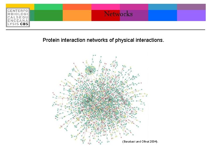 Networks Protein interaction networks of physical interactions. (Barabasi and Oltvai 2004). 