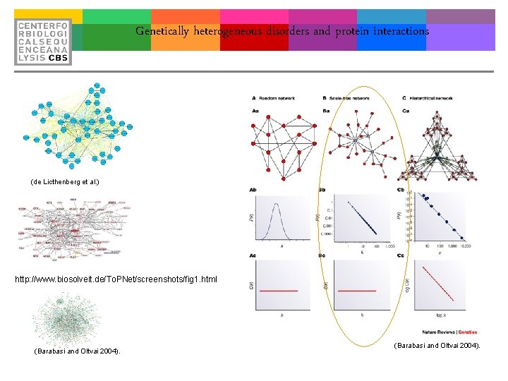 Genetically heterogeneous disorders and protein interactions (de Licthenberg et al. ) http: //www. biosolveit.