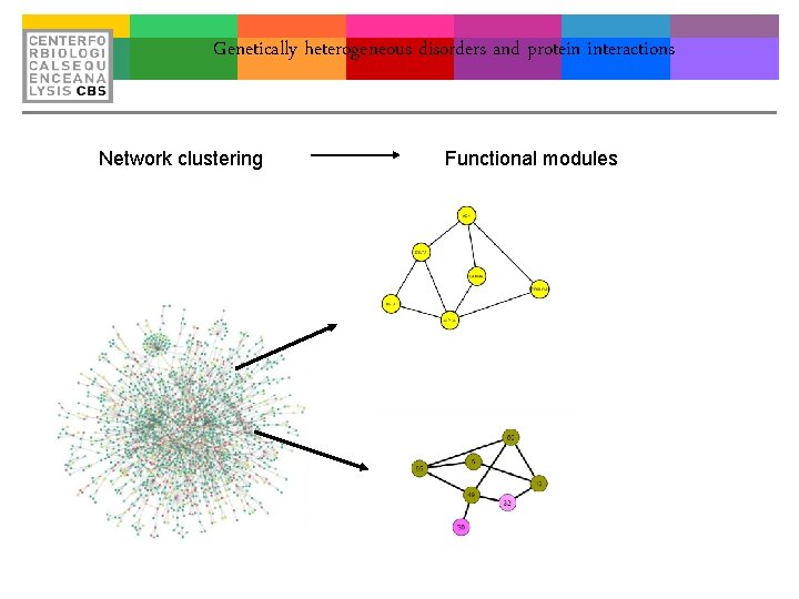 Genetically heterogeneous disorders and protein interactions Network clustering Functional modules 