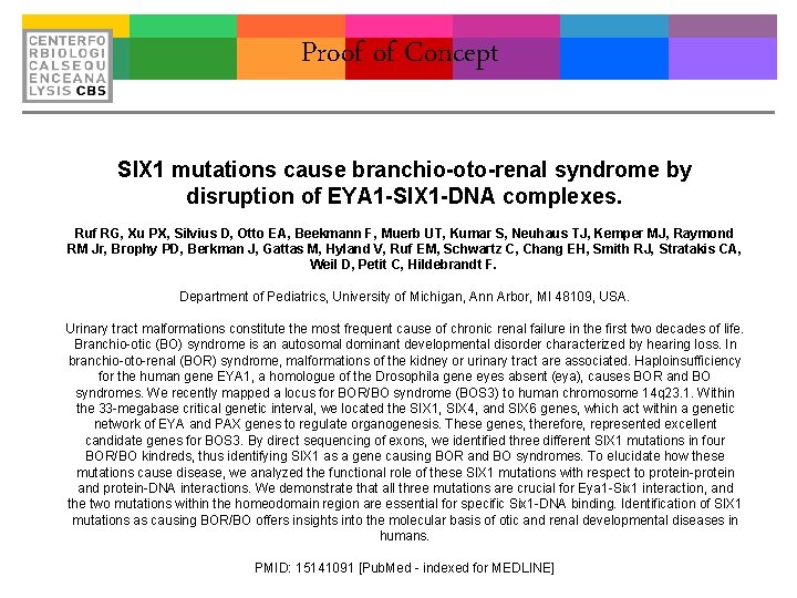 Proof of Concept SIX 1 mutations cause branchio-oto-renal syndrome by disruption of EYA 1