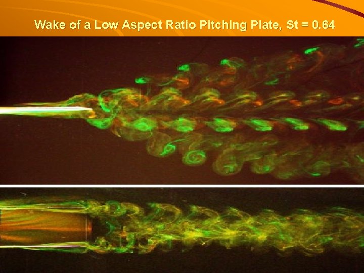 Wake of a Low Aspect Ratio Pitching Plate, St = 0. 64 