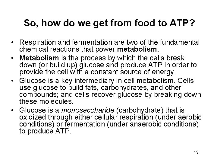 So, how do we get from food to ATP? • Respiration and fermentation are