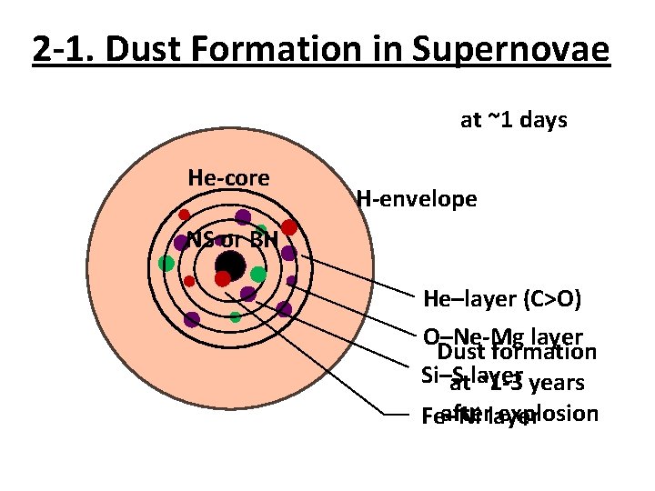 2 -1. Dust Formation in Supernovae at ~1 days He-core H-envelope NS or BH