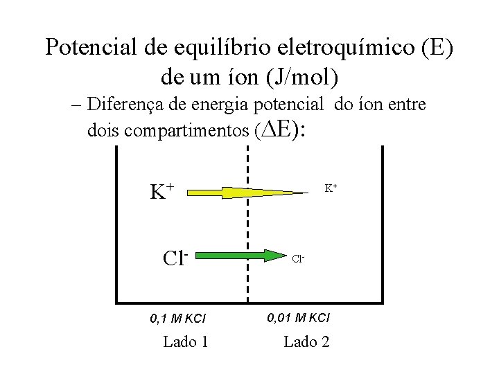 Potencial de equilíbrio eletroquímico (E) de um íon (J/mol) – Diferença de energia potencial