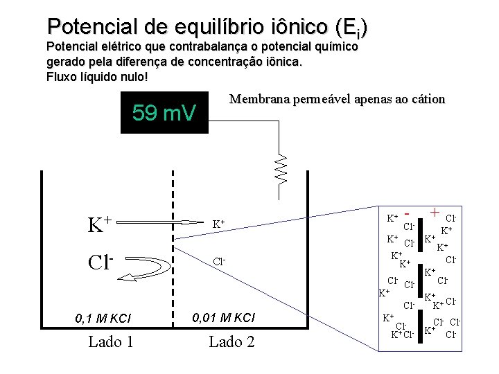 Potencial de equilíbrio iônico (Ei) Potencial elétrico que contrabalança o potencial químico gerado pela