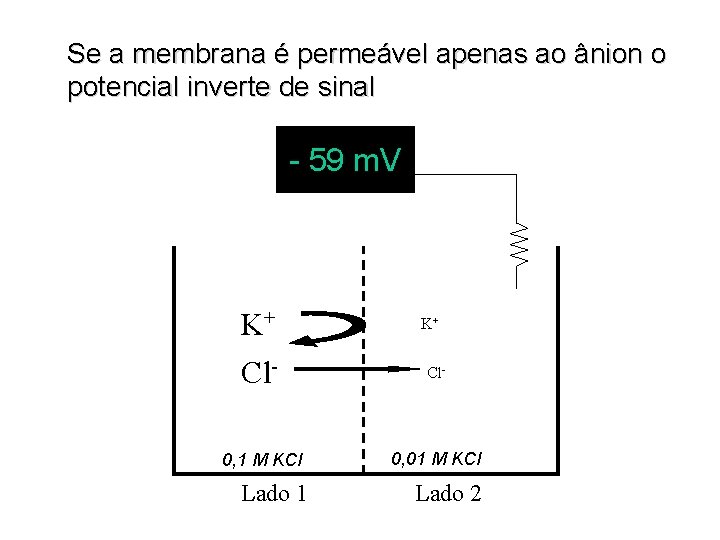Se a membrana é permeável apenas ao ânion o potencial inverte de sinal -