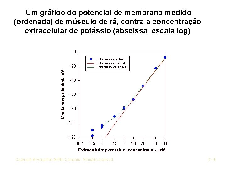  Um gráfico do potencial de membrana medido (ordenada) de músculo de rã, contra