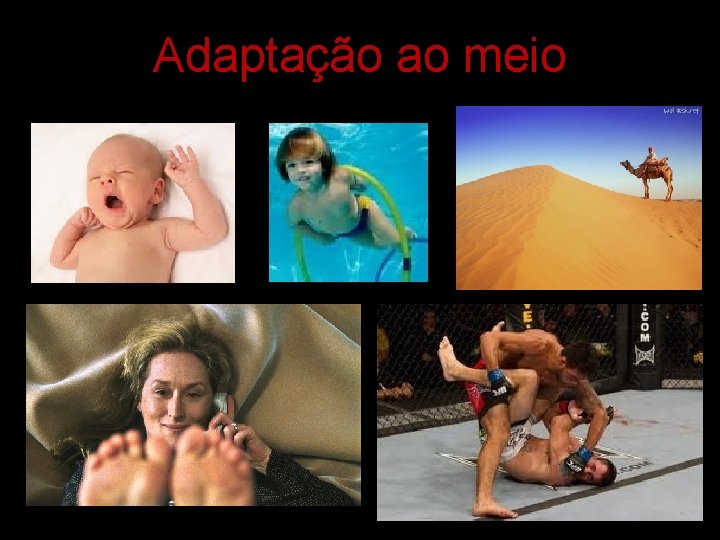 Adaptação ao meio 