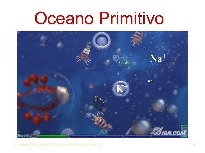 Oceano Primitivo Na+ K+ K+ Copyright © Houghton Mifflin Company. All rights reserved. 3–