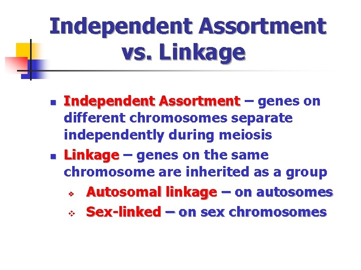 Independent Assortment vs. Linkage n n Independent Assortment – genes on different chromosomes separate