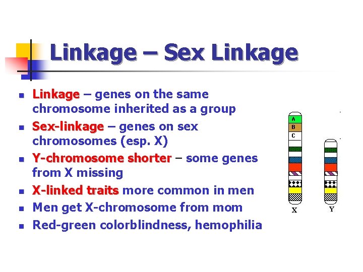 Linkage – Sex Linkage n n n Linkage – genes on the same chromosome