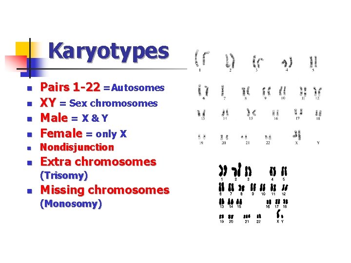 Karyotypes n Pairs 1 -22 =Autosomes XY = Sex chromosomes Male = X &