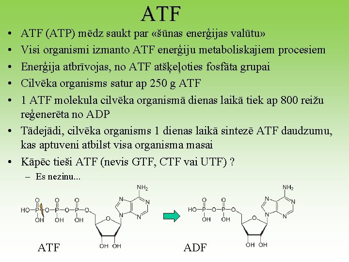 ATF • • • ATF (ATP) mēdz saukt par «šūnas enerģijas valūtu» Visi organismi