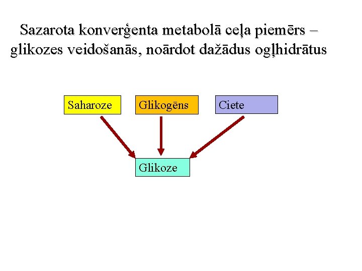 Sazarota konverģenta metabolā ceļa piemērs – glikozes veidošanās, noārdot dažādus ogļhidrātus Saharoze Glikogēns Glikoze