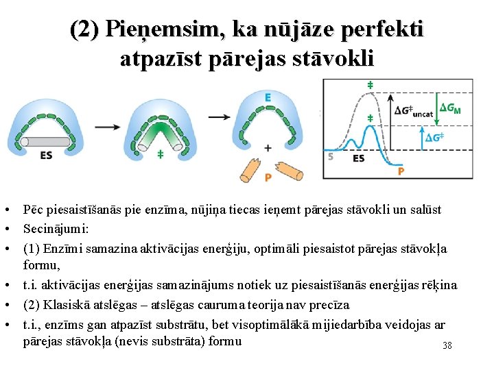 (2) Pieņemsim, ka nūjāze perfekti atpazīst pārejas stāvokli • Pēc piesaistīšanās pie enzīma, nūjiņa