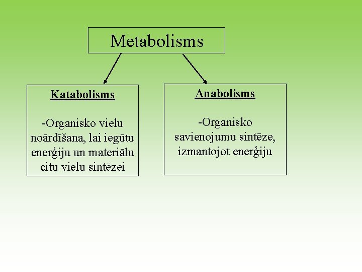 Metabolisms Katabolisms Anabolisms -Organisko vielu noārdīšana, lai iegūtu enerģiju un materiālu citu vielu sintēzei