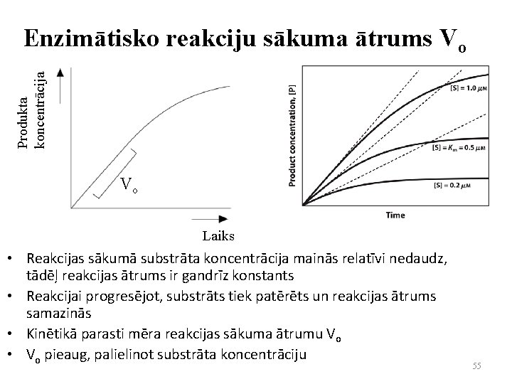 Produkta koncentrācija Enzimātisko reakciju sākuma ātrums Vo Vo Laiks • Reakcijas sākumā substrāta koncentrācija