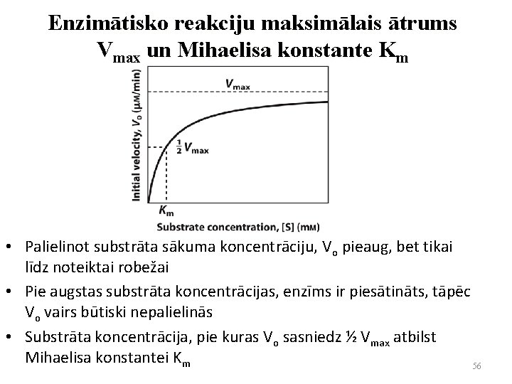 Enzimātisko reakciju maksimālais ātrums Vmax un Mihaelisa konstante Km • Palielinot substrāta sākuma koncentrāciju,