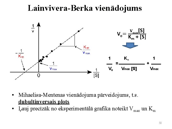 Lainvivera-Berka vienādojums 1 = Vo Km Vmax [S] 1 + Vmax • Mihaelisa-Mentenas vienādojuma