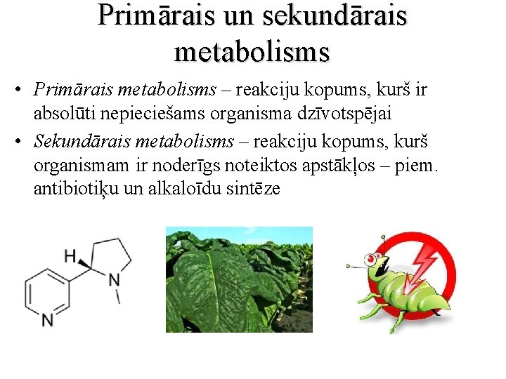 Primārais un sekundārais metabolisms • Primārais metabolisms – reakciju kopums, kurš ir absolūti nepieciešams