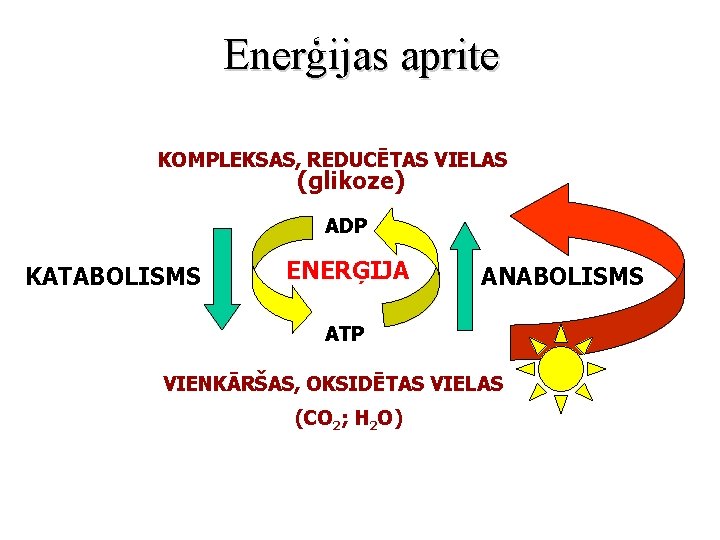 Enerģijas aprite KOMPLEKSAS, REDUCĒTAS VIELAS (glikoze) ADP KATABOLISMS ENERĢIJA ANABOLISMS ATP VIENKĀRŠAS, OKSIDĒTAS VIELAS