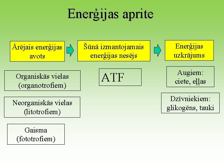 Enerģijas aprite Ārējais enerģijas avots Organiskās vielas (organotrofiem) Neorganiskās vielas (litotrofiem) Gaisma (fototrofiem) Šūnā