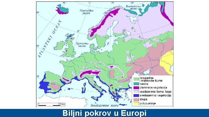 Biljni pokrov u Europi 