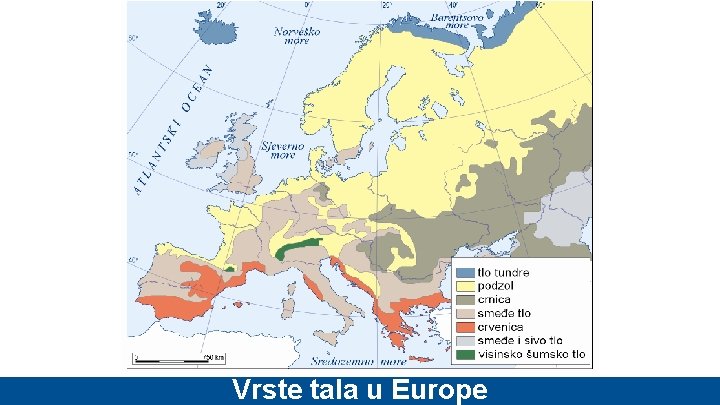 Vrste tala u Europe 