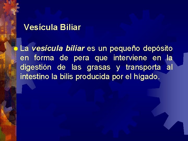 Vesícula Biliar ® La vesícula biliar es un pequeño depósito en forma de pera