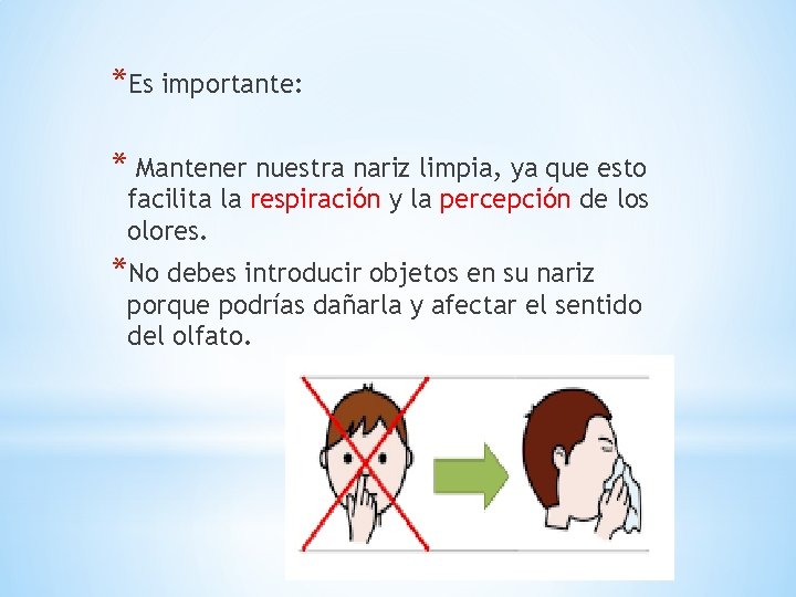 *Es importante: * Mantener nuestra nariz limpia, ya que esto facilita la respiración y