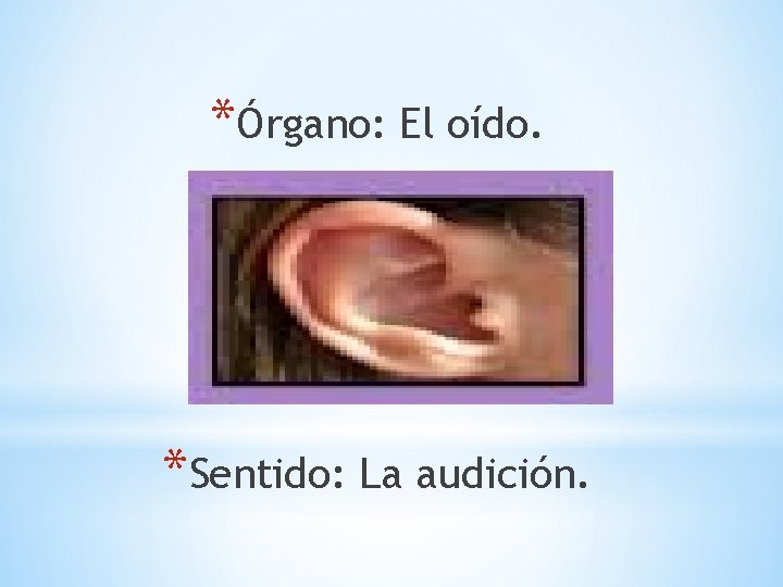 *Órgano: El oído. *Sentido: La audición. 