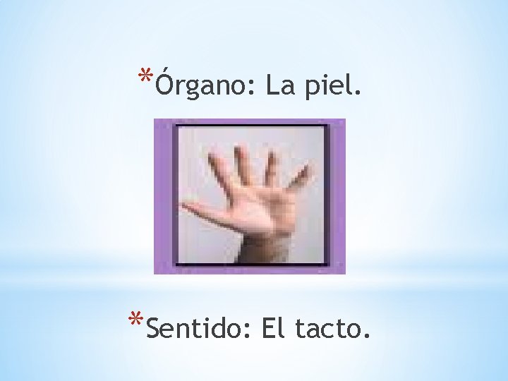 *Órgano: La piel. *Sentido: El tacto. 