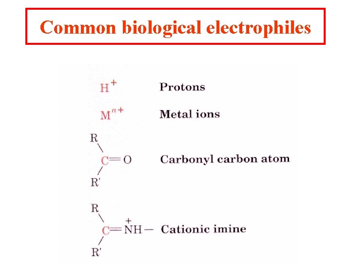 Common biological electrophiles 