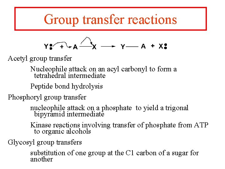 Group transfer reactions Acetyl group transfer Nucleophile attack on an acyl carbonyl to form