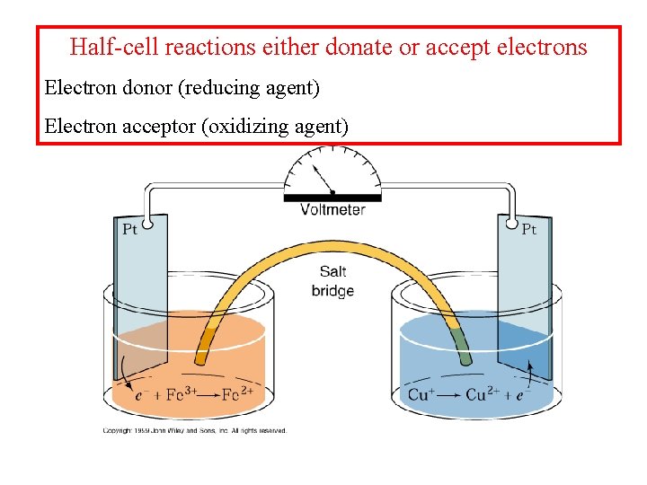 Half-cell reactions either donate or accept electrons Electron donor (reducing agent) Electron acceptor (oxidizing