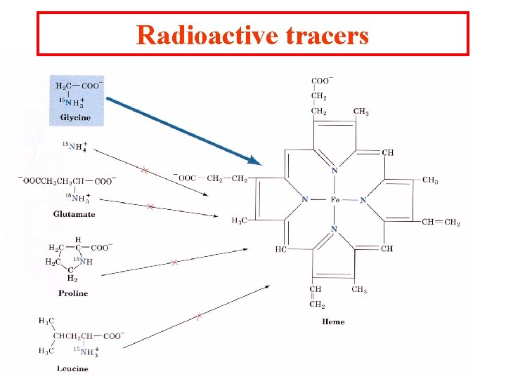 Radioactive tracers 