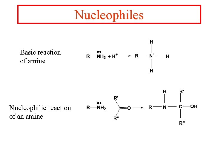 Nucleophiles Basic reaction of amine Nucleophilic reaction of an amine 