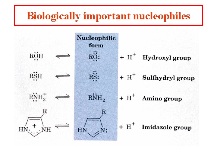 Biologically important nucleophiles 