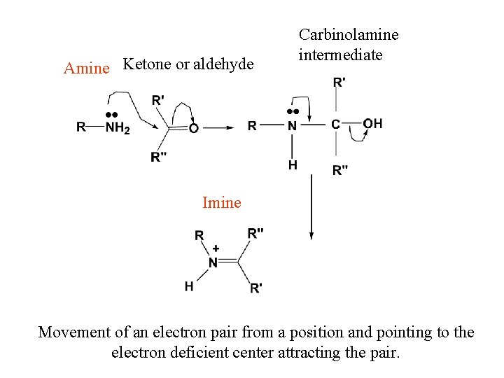 Amine Ketone or aldehyde Carbinolamine intermediate Imine Movement of an electron pair from a