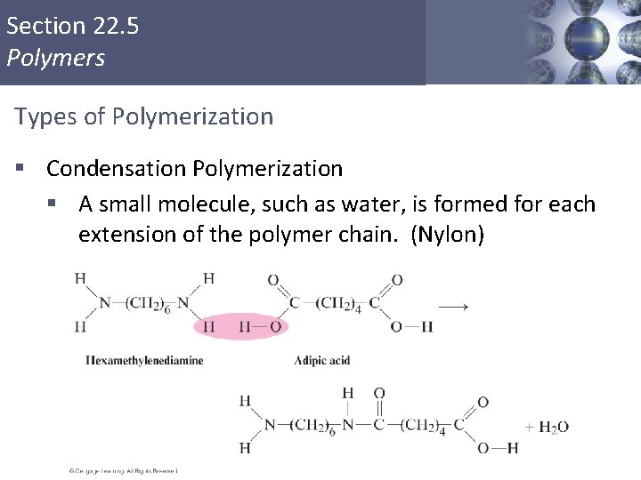 Section 22. 5 Polymers Types of Polymerization § Condensation Polymerization § A small molecule, Section 22. 5 Polymers Types of Polymerization § Condensation Polymerization § A small molecule,