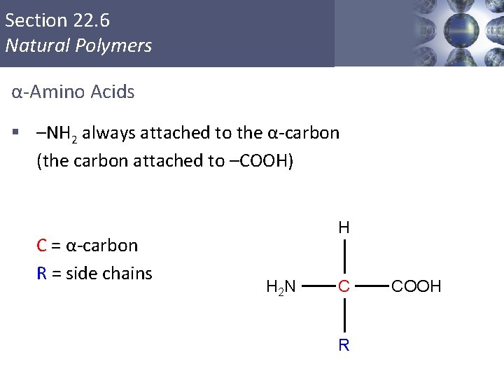 Section 22. 6 Natural Polymers α-Amino Acids § –NH 2 always attached to the Section 22. 6 Natural Polymers α-Amino Acids § –NH 2 always attached to the