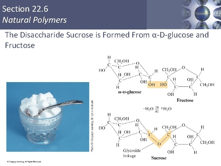 Section 22. 6 Natural Polymers The Disaccharide Sucrose is Formed From α-D-glucose and Fructose Section 22. 6 Natural Polymers The Disaccharide Sucrose is Formed From α-D-glucose and Fructose